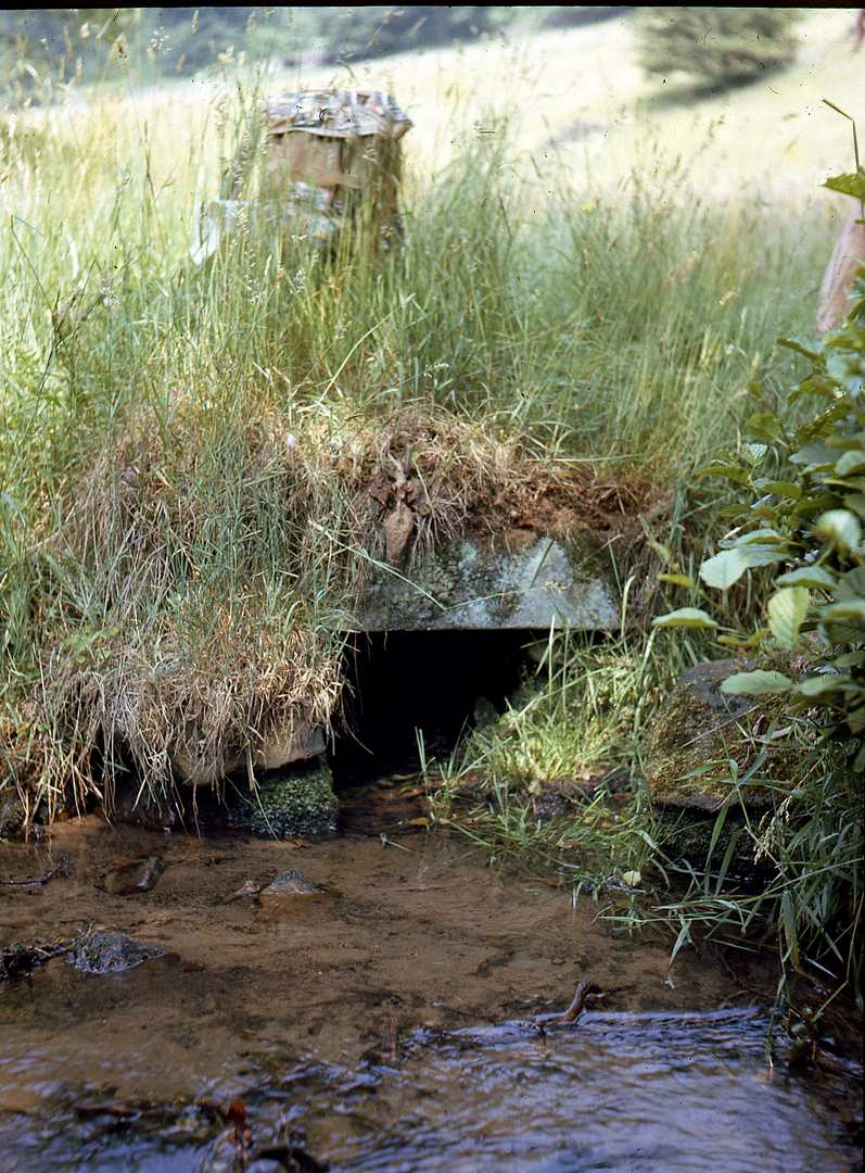Tail of Magclough Sough Grindleford 1971